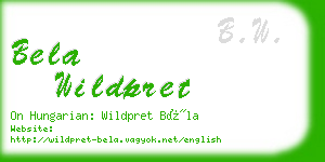 bela wildpret business card